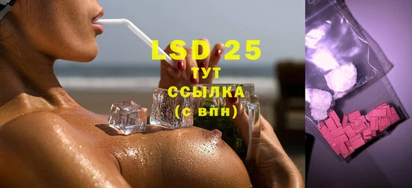 стаф Алзамай