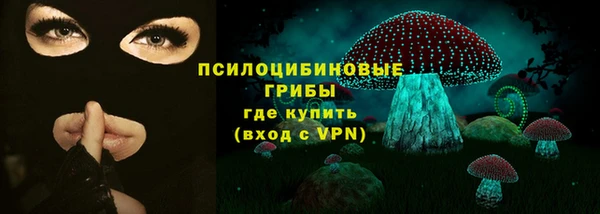 стаф Алзамай
