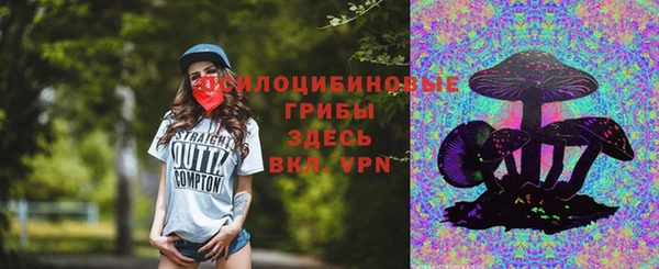 спиды Алексин