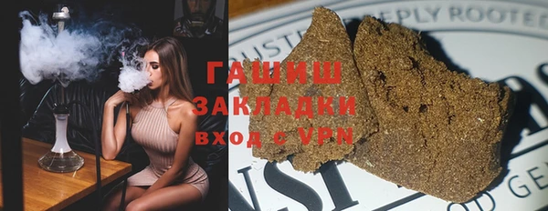стаф Алзамай