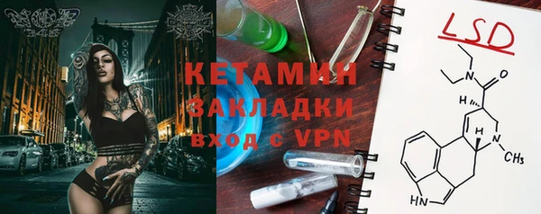 стаф Алзамай