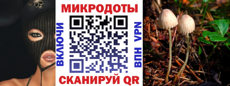 KRAKEN ссылки купить цена Анжеро-Судженск даркнет как зайти Галлюциногенные грибы Cubensis