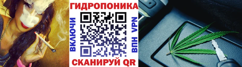 ОМГ ОМГ ссылка  Анжеро-Судженск  МАРИХУАНА сатива 